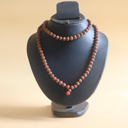 Pathri Rudraksha Chikna Mala 108+1 Beads | 5mm