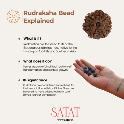 SATAT 7 Mukhi Rudraksha Pendant (Nepal) with 108 bead 5 Mukhi (Indonesian) Mala Set | Pure SIlver Cap & Certified