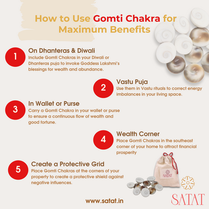 Gomati Chakra| Pack of 11 | Hand-Picked Pieces| For Lakshmi Pooja at Diwali