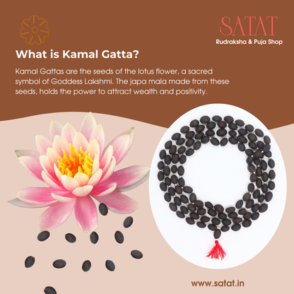 Natural Lotus Seed Mala 108+1 Beads Original | Size: 15-20mm | Kamal Gatta Mala Natural | Hand-Made | ISO-Recognised Laboratory Certificate | for Lakshmi Pooja & Mantra Japa