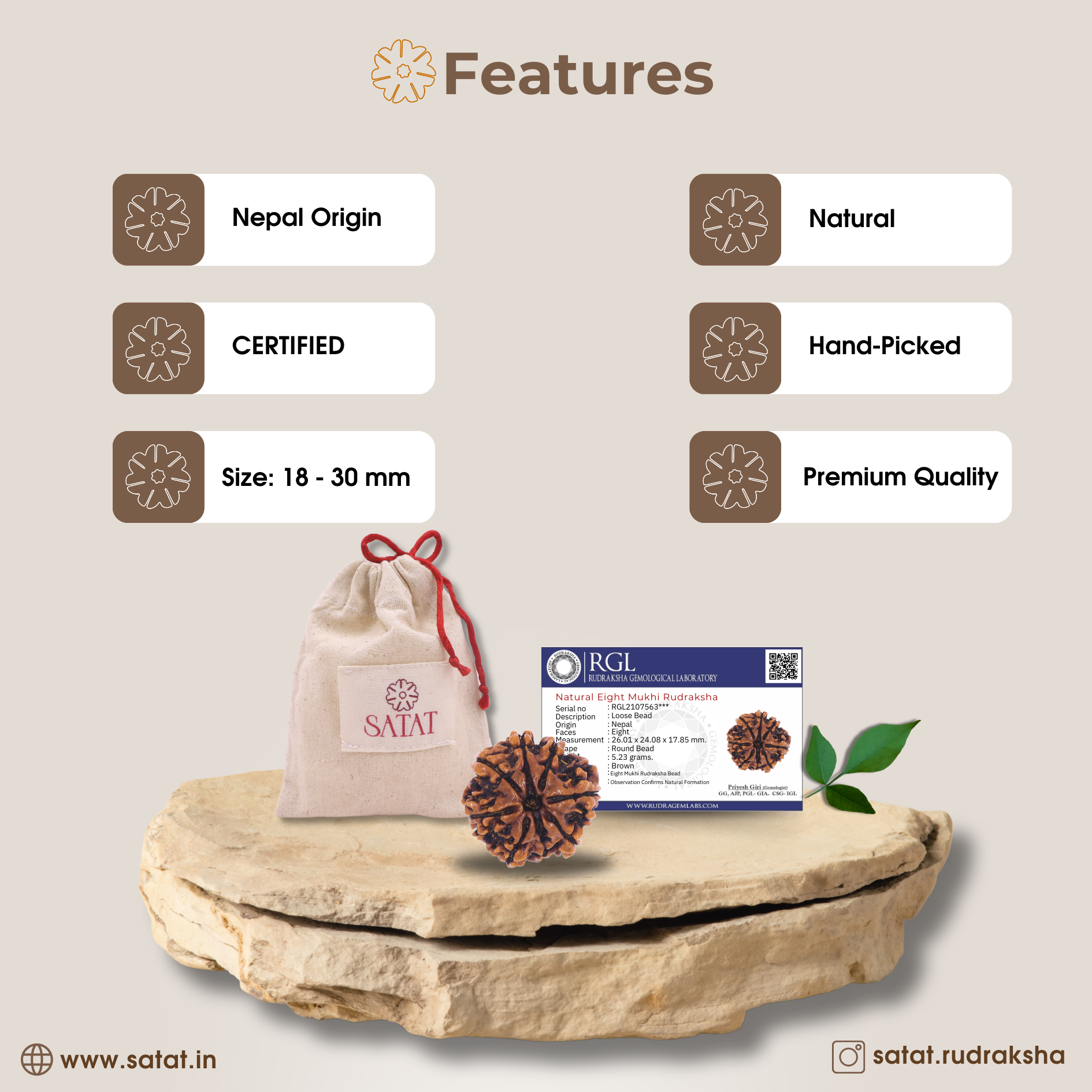 original 8 Mukhi rudraksha sourced from Nepal, certified by Iso-recognised Lab (RGL). 18-30mm Size. SHop from SATAT rudraksha & puja shop online.