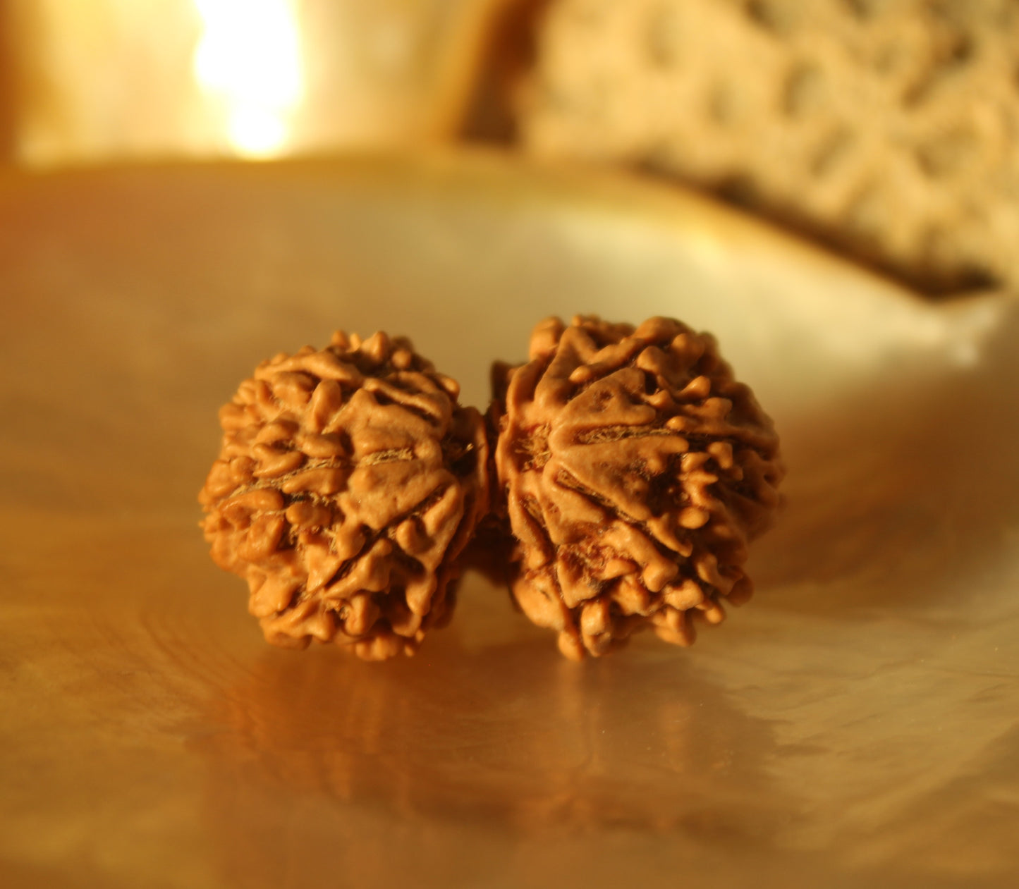 Gauri Shankar Rudraksha Bead