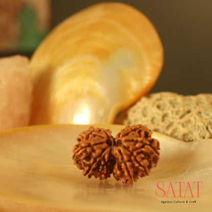 Gauri Shankar Rudraksha 