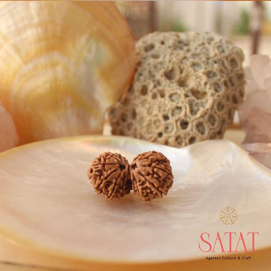 Gauri Shankar Rudraksha