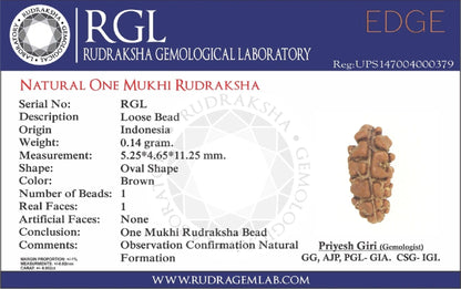 EK Mukhi Rudraksha Lab Certificate by Satat.in