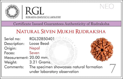 Guru Mani 5 Mukhi Rudraksha MalaSatat.in