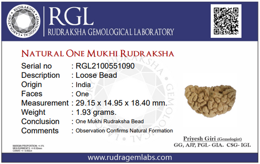 One Mukhi Rudraksha Lab Certificate Of Authenticity