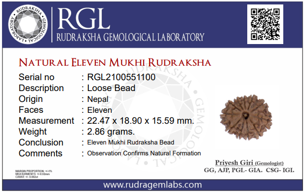 Eleven Mukhi Nepal Rudraksha Bead Certificate