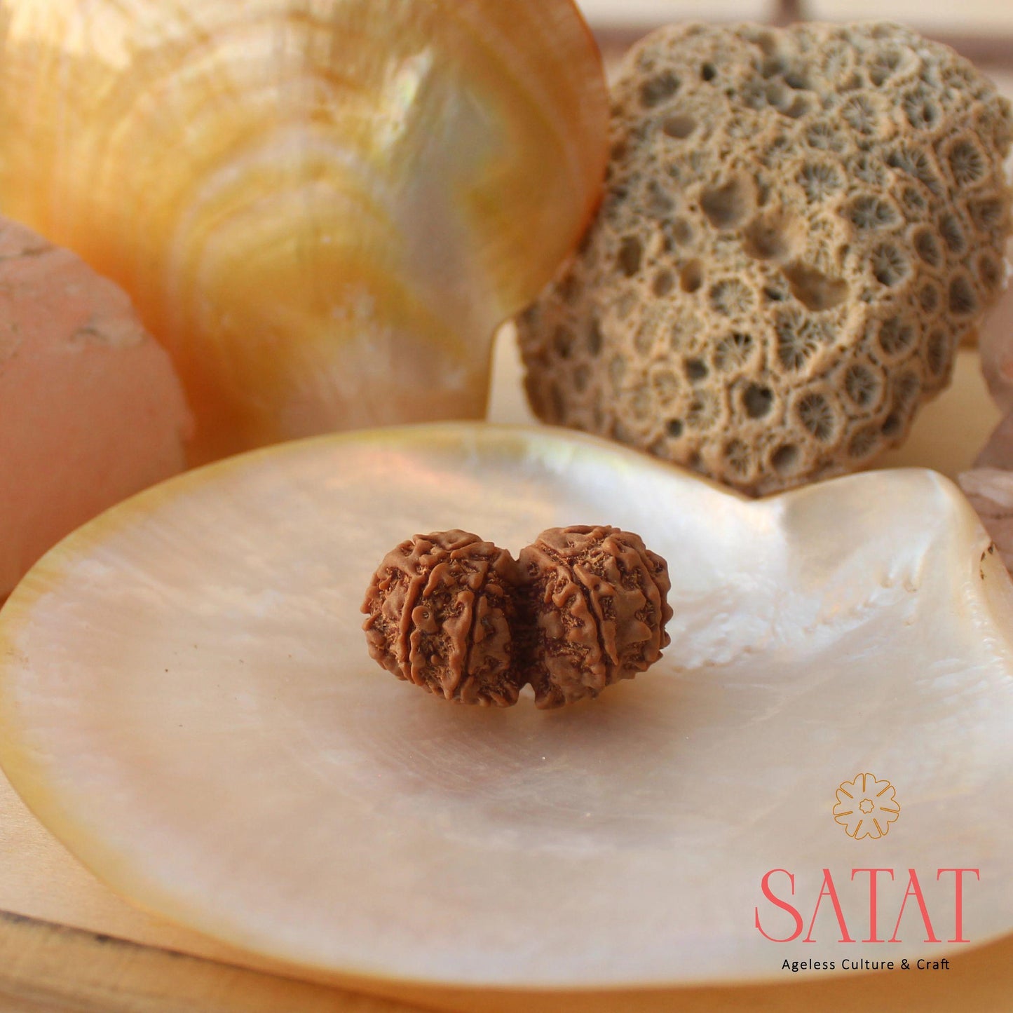 Gauri Shankar Rudraksha Bead
