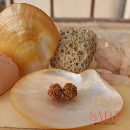 Gauri Shankar Rudraksha Bead