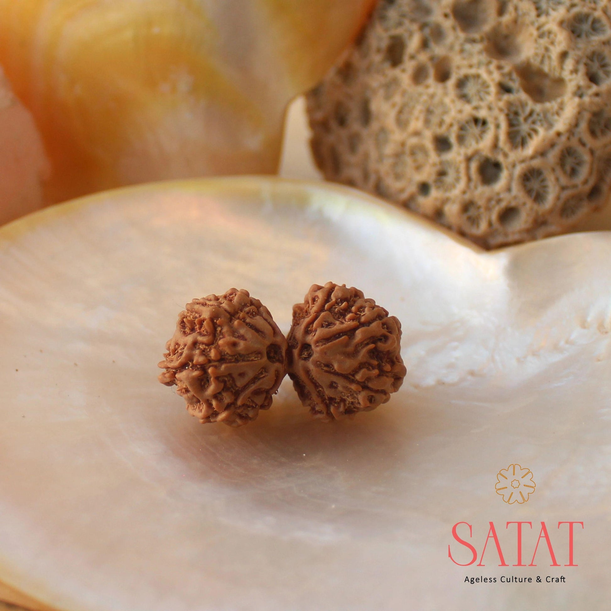 Gauri Shankar Rudraksha Bead 