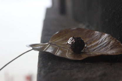 6 mukhi Rudraksha locket