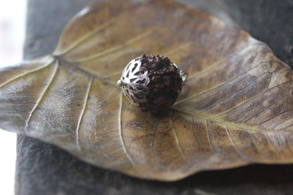 Silver Cap Six Face Rudraksha Locket