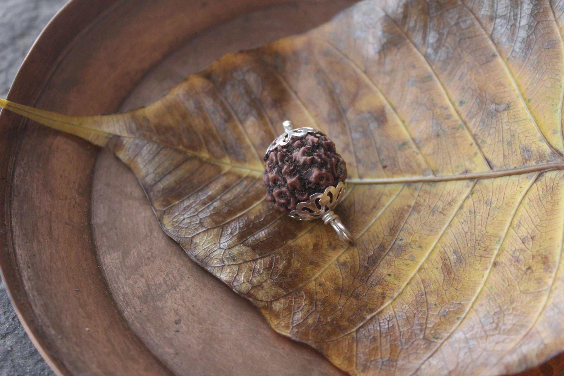 Chandi 6 mukhi Rudraksha locket