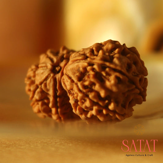 Gauri Shankar Rudraksha With Certificate