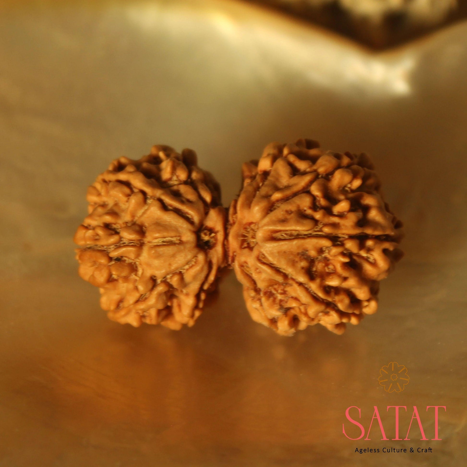 Original Gauri Shankar Rudraksha 