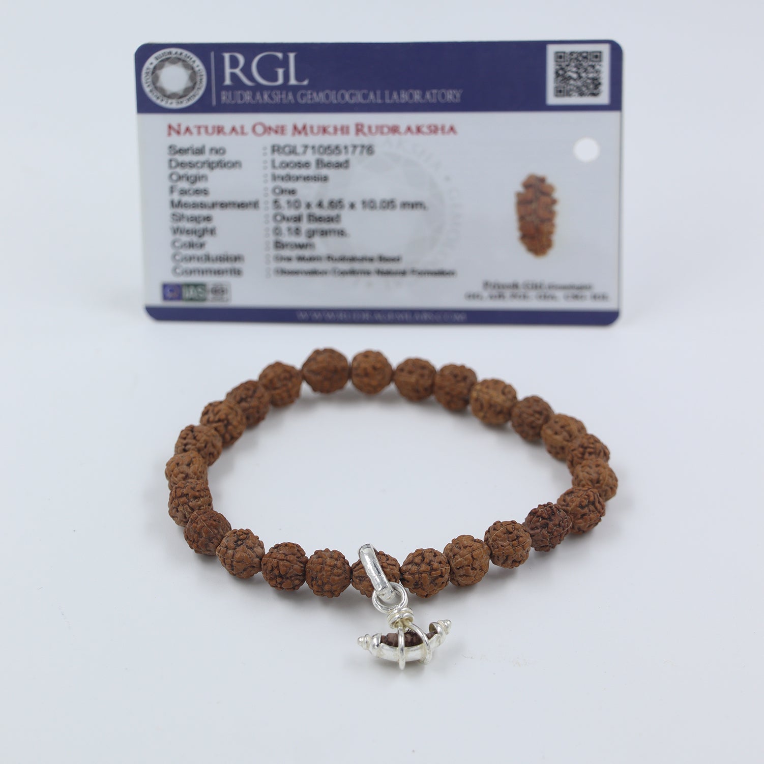 7 Mukhi Rudraksha Bracelet Pure silver  Type 1  Rudra and Sons