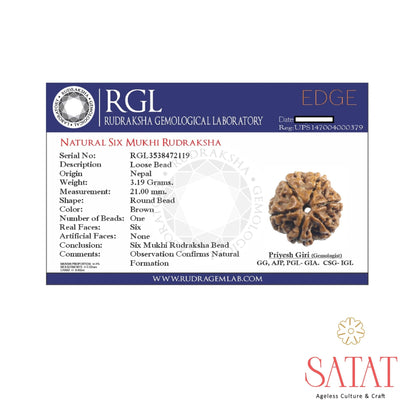 Certified six mukhi rudraksha locket