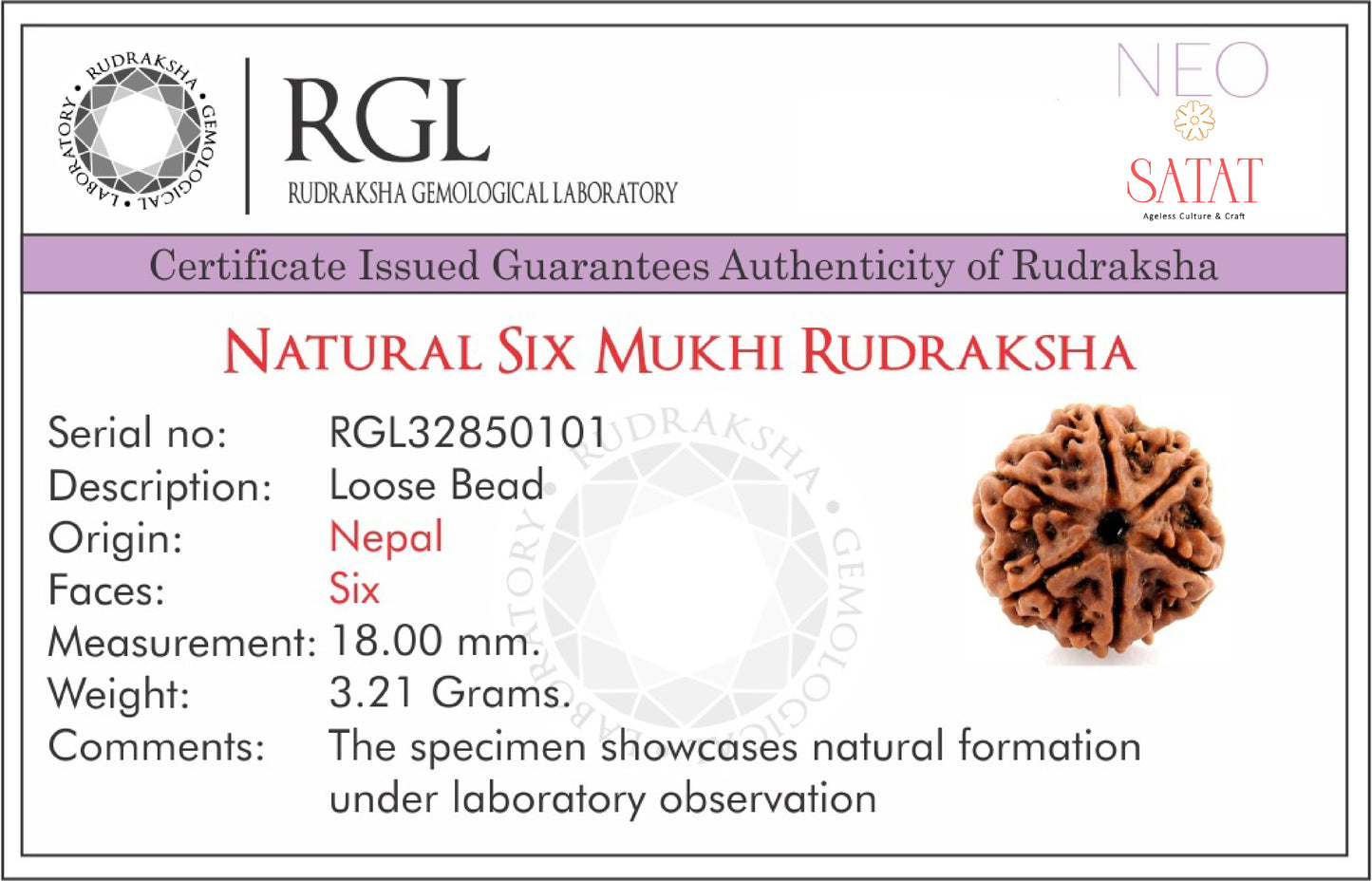 Rudraksha Lab Certificate